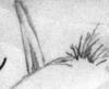 windblade1x3.jpg